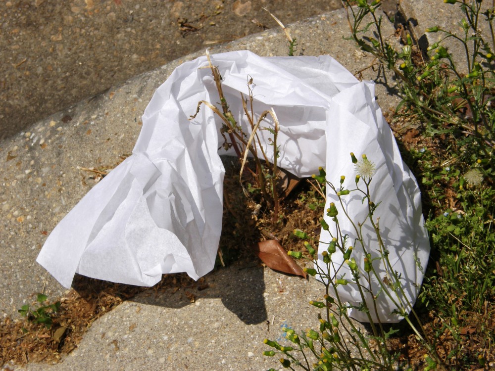 Plastic Bag on Land